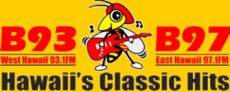 KNWB Logo