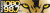KLOQ-FM Thumbnail