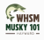 WHSM-FM Thumbnail