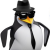 W257DP Thumbnail