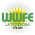 WWFE Thumbnail