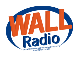 W293AE Logo