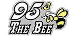 WADI Logo
