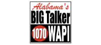 WAPI Logo