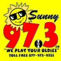 WDEE-FM Logo