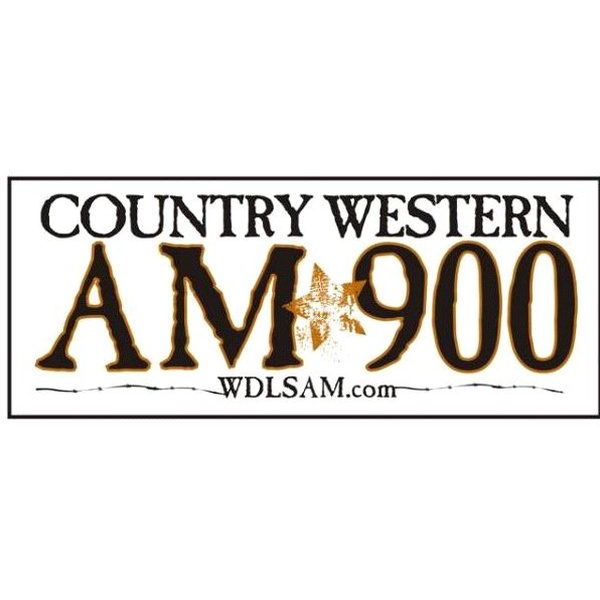 WDLS Logo