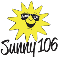 WDSN Logo