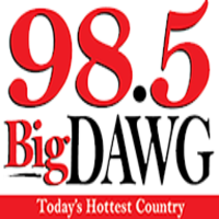 WDWG Logo