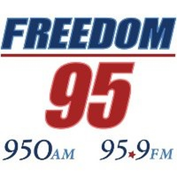 WFDM-FM Logo