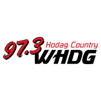 WHDG Logo