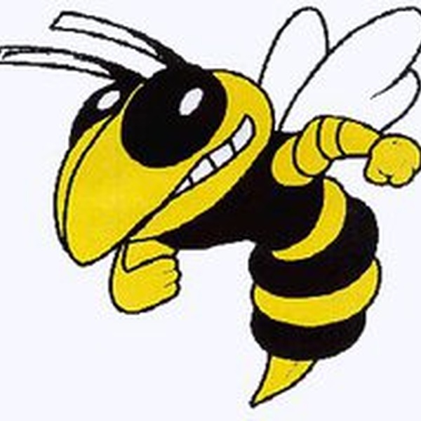 WHSD Logo