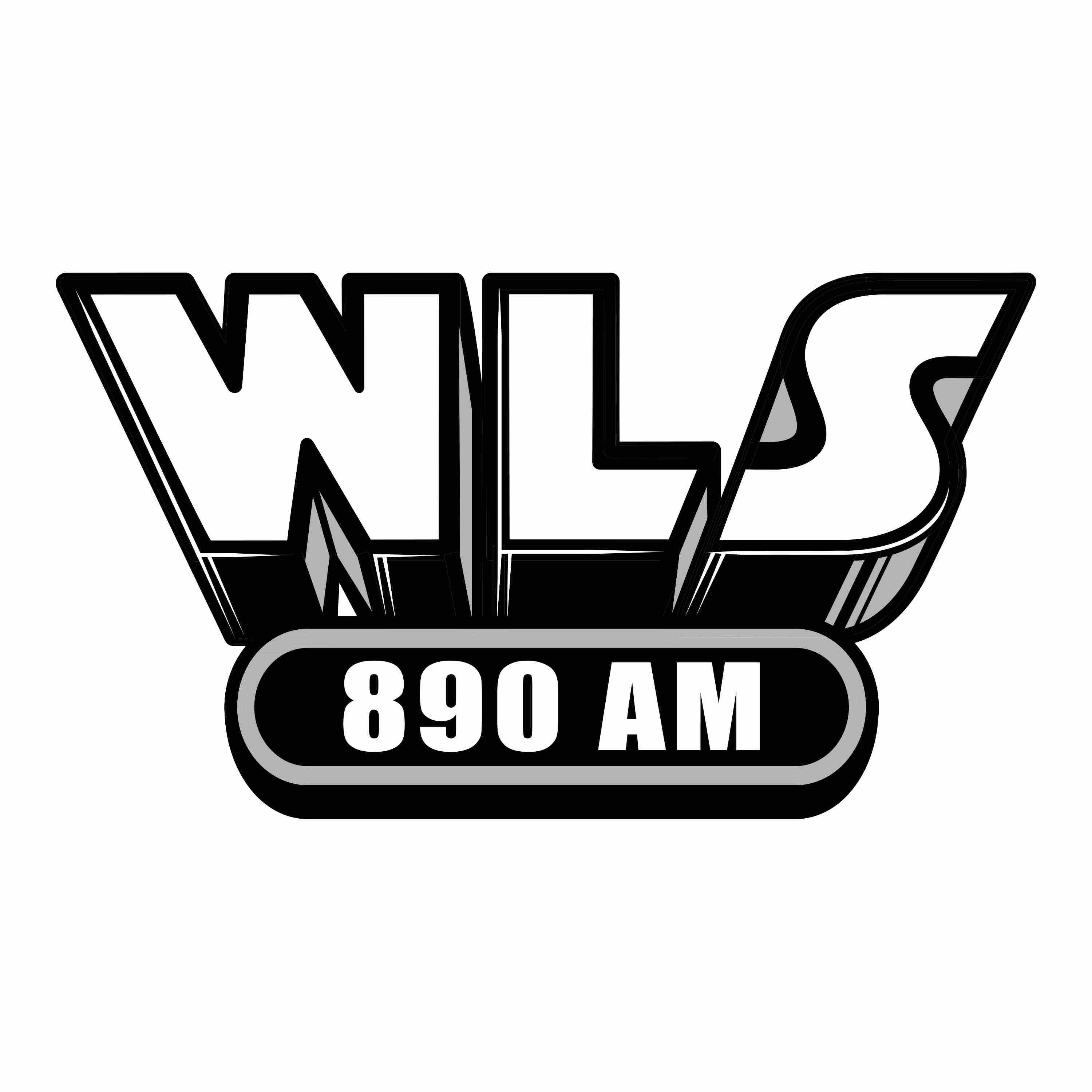WLS Logo