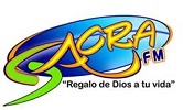 WLUZ Logo