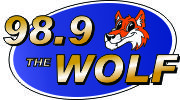 WOFE Logo