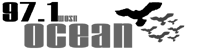 WOSN Logo