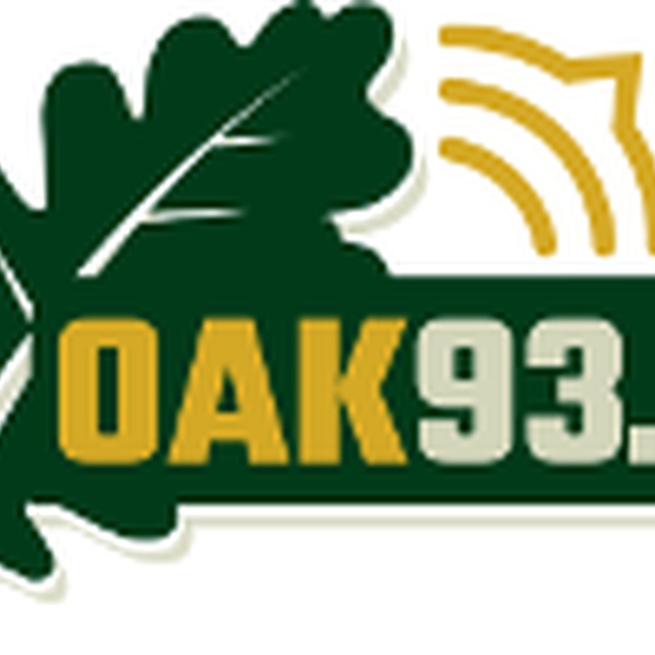 WRLY-LP Logo