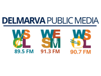 WSDL Logo