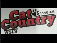WSLV Logo