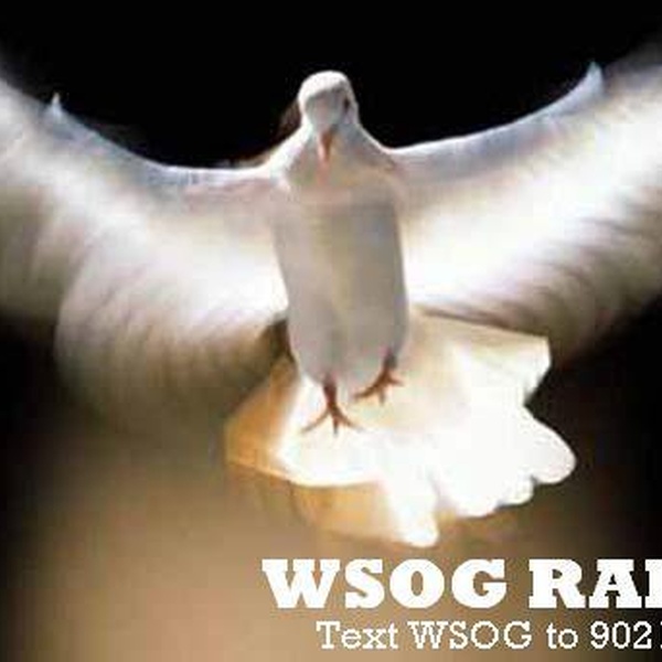 WSOG Logo