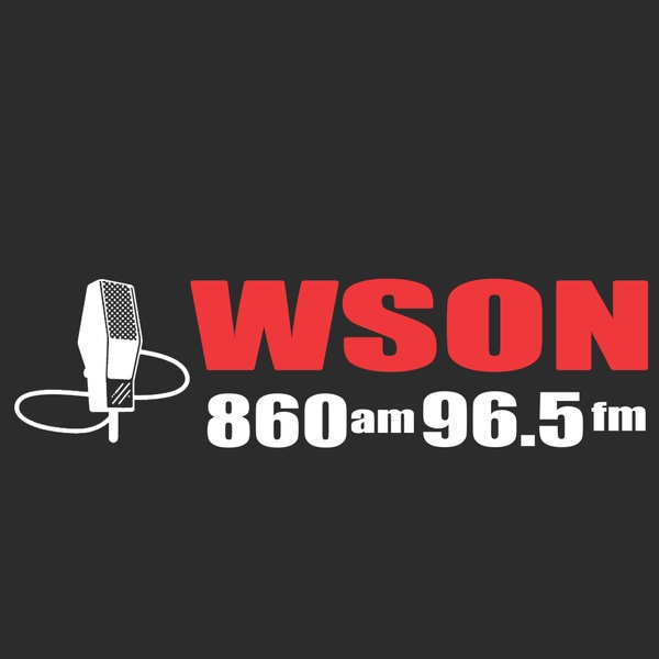 WSON Logo
