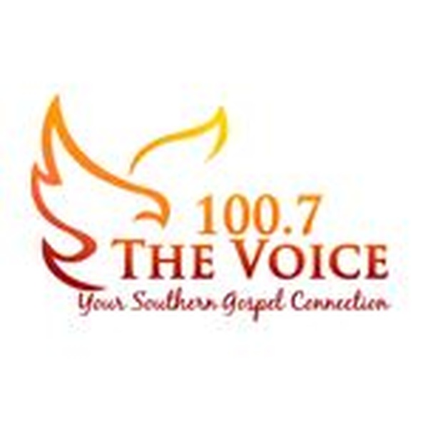 WVSA Logo