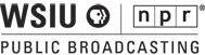 WVSI Logo
