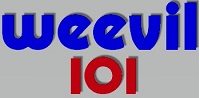 WVVL Logo